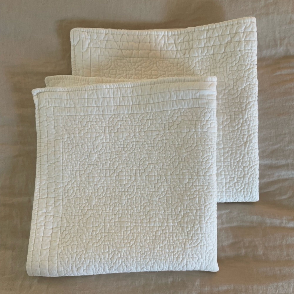Two Restoration Hardware Euro Shams